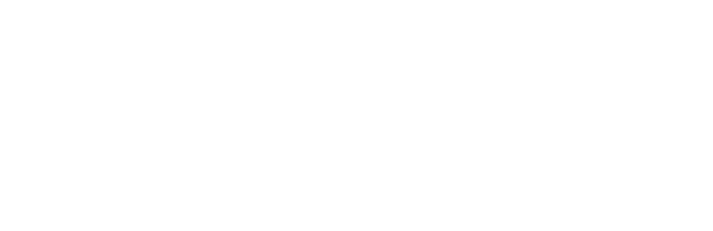 Visa Brandmark White
